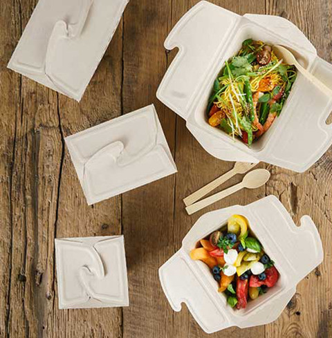boites alimentaires compostables canne a sucre